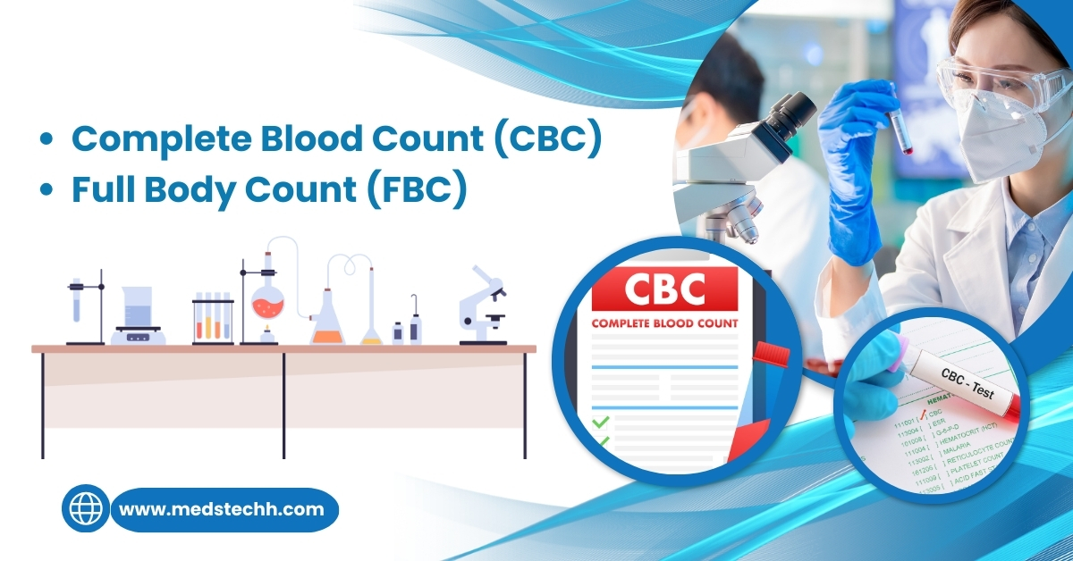 Complete Blood Count (CBC): Blood Test Information